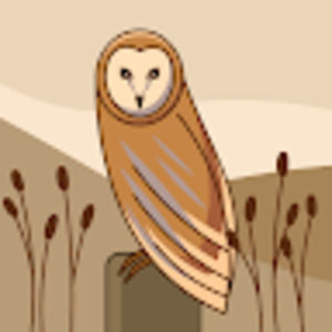 Meet your Posher, Donovan